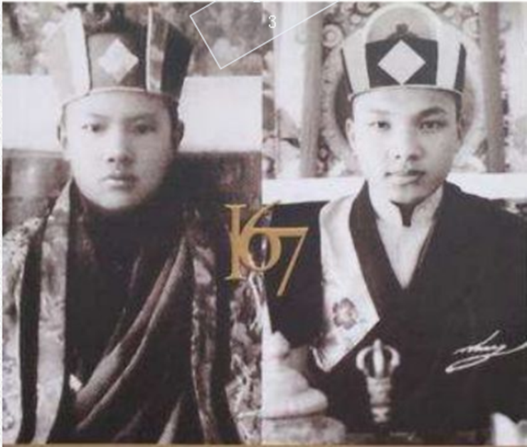 image-20250629205600733