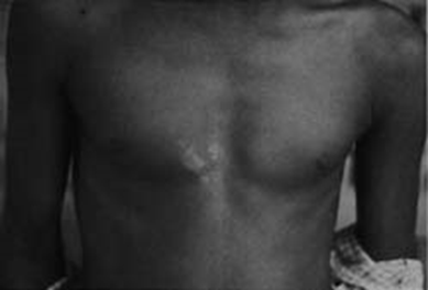 image-20250629205807330