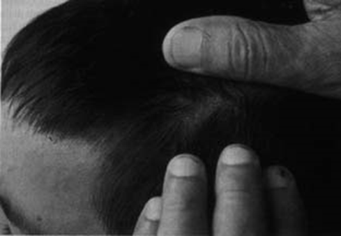 image-20250629205858065