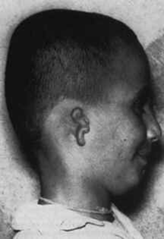 image-20250629205913868