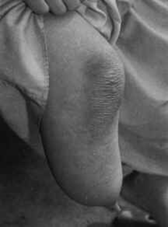 image-20250629205929685